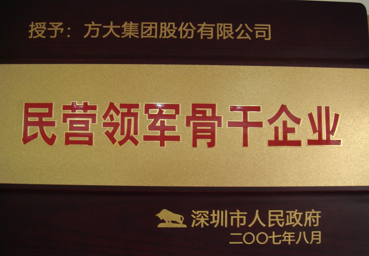 2007  民營領軍骨干企業